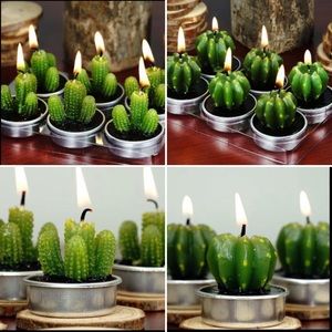 Cactus Succulent Tea Light Candles 6 Pack NIB
